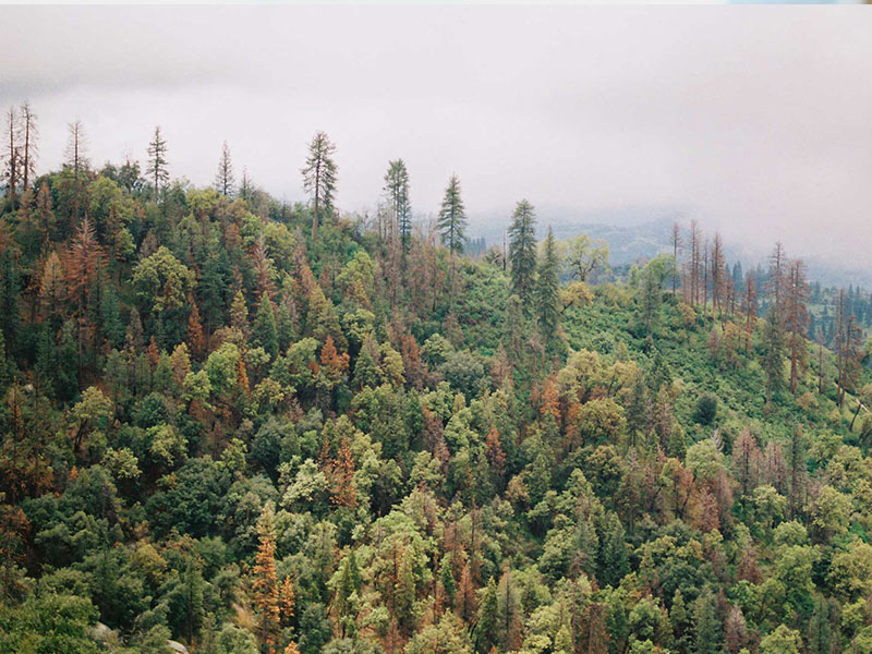 FSC @ The Hub –  Sarah Reest – Timberkits